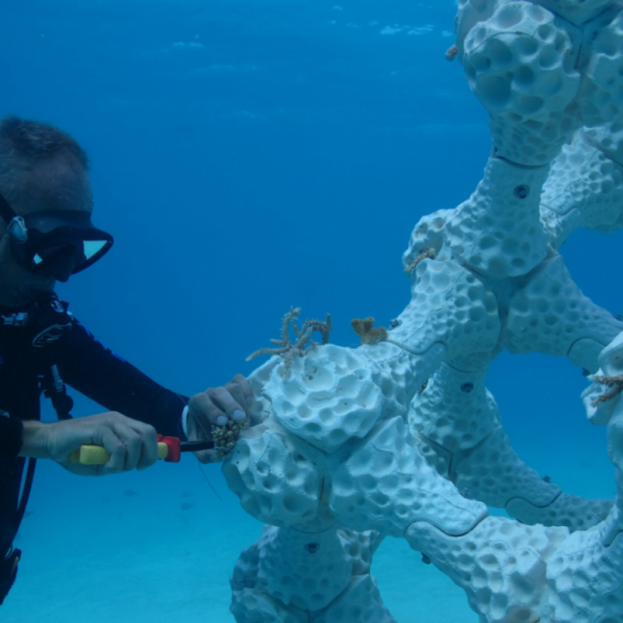 Episode 121: Industrial designer and founder of Reef Design Lab Alex Goad talks about the amazing things you can do with coral reef restoration technology